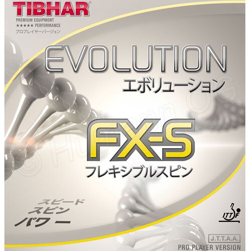 Evolution FX-S schwarz max.