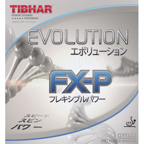 Evolution FX-P svart 2.1mm-2.2mm