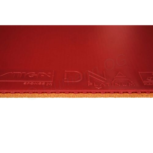DNA Platinum M rd 2.1 mm