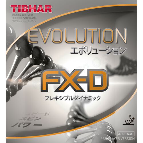 Evolution FX-D schwarz,2.1mm-2.2mm