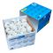 Speedball 3S*** 40+ white, 72-Pack